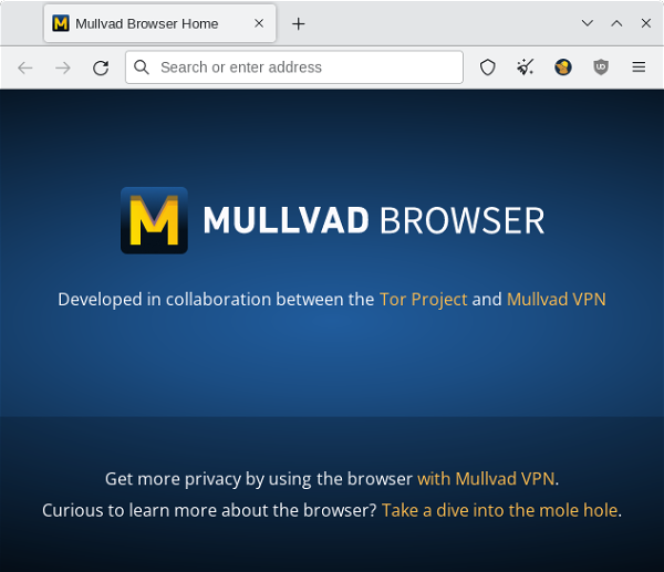 Screenshot showing the Mullvad Browser