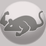 CatMouse-FireStick-app