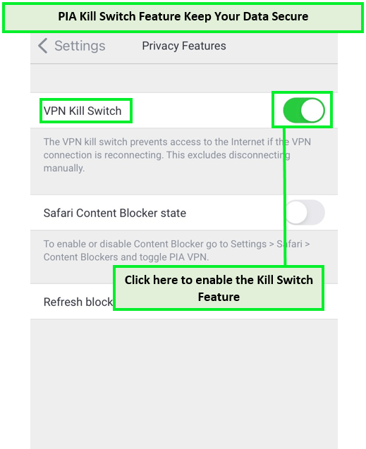PIA-kill-switch-feature-on-iPad-in-USA